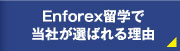 Enforex留学で当社が選ばれる理由